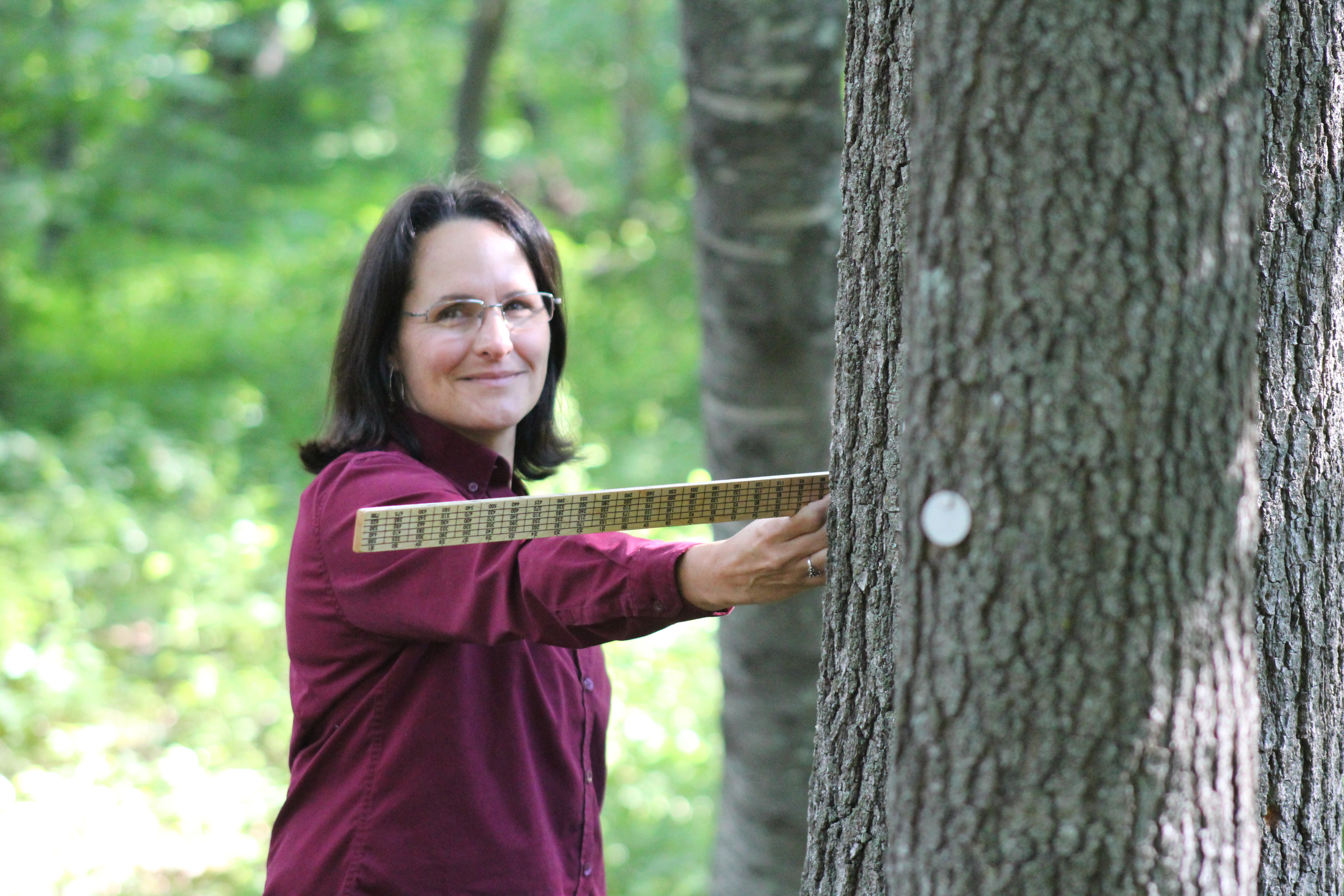 Jennifer uses a Biltmore stick to measure the diameter of a tree.