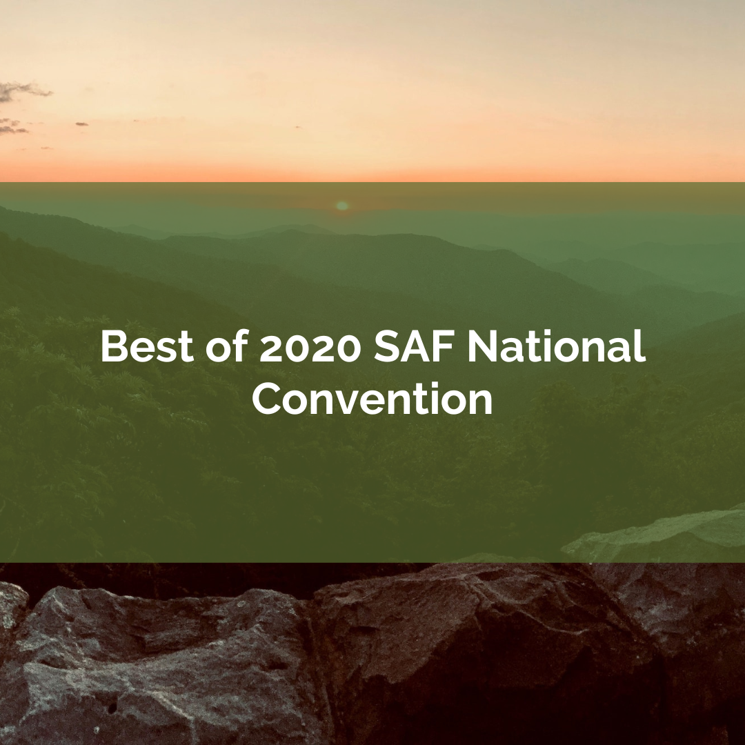 Item detail best of 2020 convention bundle