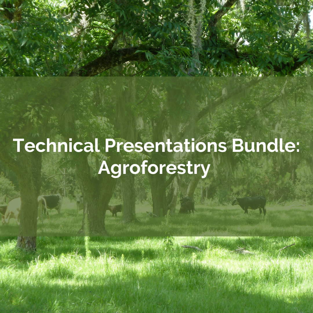 Agroforestry Bundle