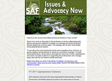 Issues & Advocacy Now